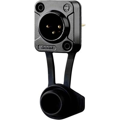 Rean AV RRX3M-Z-012-1 XLR-Steckverbinder Stecker, Einbau Polzahl: 3 Schwarz 1 S, Audio Stecker, Schwarz Rean AV RRX3M-Z-012-1 XLR-Steckverbinder Stecker, Einbau Polzahl: 3 Schwarz 1 S, Audio Stecker, Schwarz
