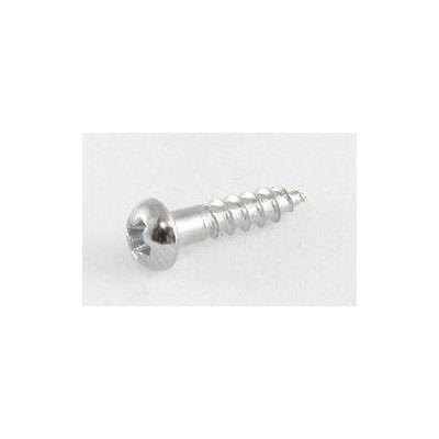 AllParts AP GS 3376-010 Mechanikschr. (16) chrom (Instrumenten Ersatzteile), Zubehör Instrumente, Silber AllParts AP GS 3376-010 Mechanikschr. (16) chrom (Instrumenten Ersatzteile), Zubehör Instrumente, Silber