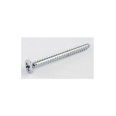 AllParts AP GS 0005-010 Schrauben f. Halsplatte c, Zubehör Instrumente, Silber AllParts AP GS 0005-010 Schrauben f. Halsplatte c, Zubehör Instrumente, Silber