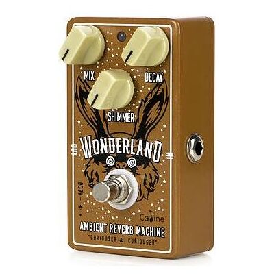 Caline CP-508 Wonderland Reverb, Effektgerät Caline CP-508 Wonderland Reverb, Effektgerät