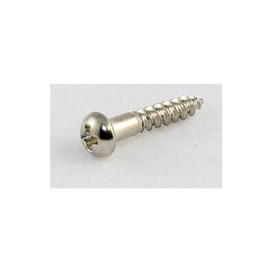 AllParts AP GS 0006-001 Mechanikschrauben (16), Zubehör Instrumente, Silber AllParts AP GS 0006-001 Mechanikschrauben (16), Zubehör Instrumente, Silber