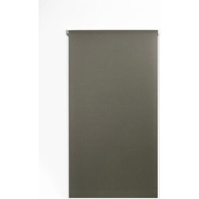 Domoletti, Rollo, ROLLER BLIND RAINBOW 228 140X220 BROWN (140 x 220 cm) Domoletti, Rollo, ROLLER BLIND RAINBOW 228 140X220 BROWN (140 x 220 cm)