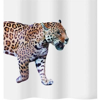 Diaqua, Duschvorhang, Jaguar (240 x 180 cm) Diaqua, Duschvorhang, Jaguar (240 x 180 cm)