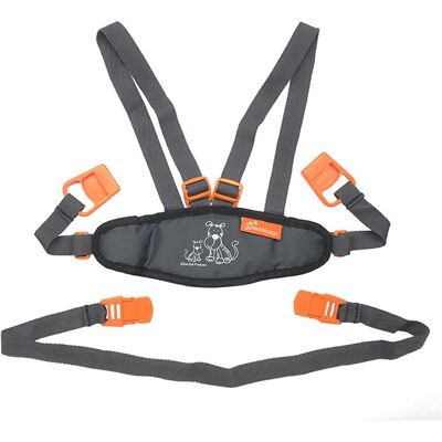 Dreambaby, Kinderwagen Zubehör, Sicherheitsgut Dreambaby, Kinderwagen Zubehör, Sicherheitsgut