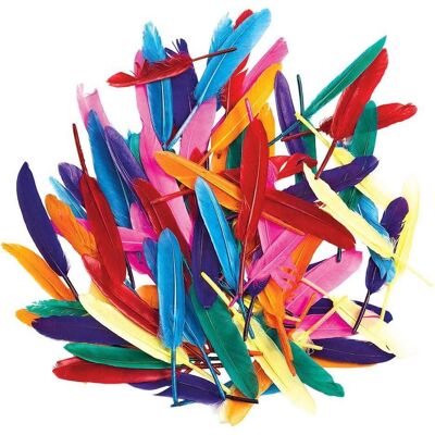 Colorations Färbungen – Farbige Entenfedern, 28,5 Gramm Colorations Färbungen – Farbige Entenfedern, 28,5 Gramm