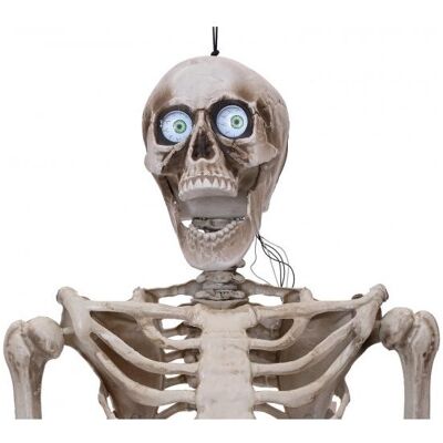 Europalms Halloween Figur Skelett formbar, animiert, 160cm Europalms Halloween Figur Skelett formbar, animiert, 160cm