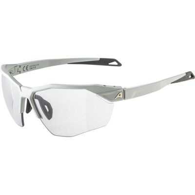 ALPINA Twist Six S HR Vario grau - Skibrille ALPINA Twist Six S HR Vario grau - Skibrille
