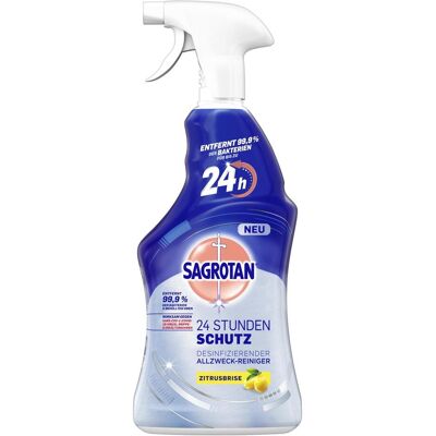 Sagrotan 24 Stunden Schutz, Reinigungsmittel Sagrotan 24 Stunden Schutz, Reinigungsmittel
