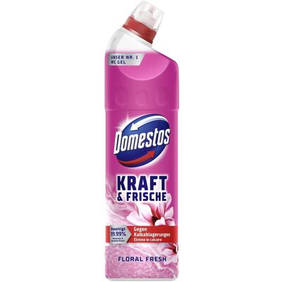 Domestos WC-Gel Floral, Reinigungsmittel Domestos WC-Gel Floral, Reinigungsmittel