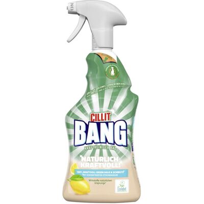 Cillit Bang Kraftreiniger, Reinigungsmittel Cillit Bang Kraftreiniger, Reinigungsmittel