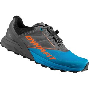 Dynafit, Herren, Laufschuhe, Alpine (41, 46.5), Grau Dynafit, Herren, Laufschuhe, Alpine (41, 46.5), Grau