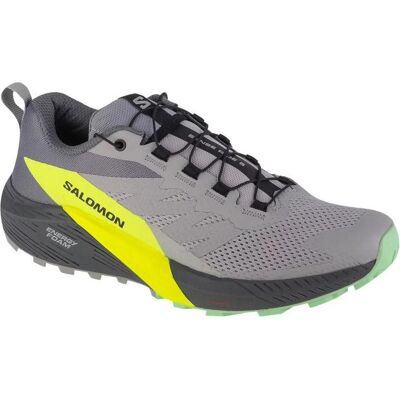 Salomon, Herren, Laufschuhe, Sense Ride 5 471442 46 2/3 (46 2/3), Grau, Silber Salomon, Herren, Laufschuhe, Sense Ride 5 471442 46 2/3 (46 2/3), Grau, Silber