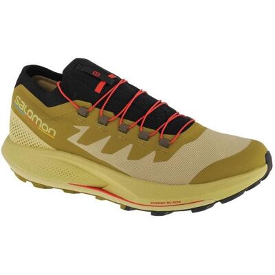 Salomon, Herren, Laufschuhe, Pulsar Trail-Pro 415936 41 1/3 (41 1/3) Salomon, Herren, Laufschuhe, Pulsar Trail-Pro 415936 41 1/3 (41 1/3)