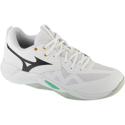 Mizuno, Unisex, Hallenschuhe, Wave Momentum Pro (44), Weiss Mizuno, Unisex, Hallenschuhe, Wave Momentum Pro (44), Weiss