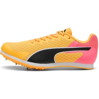 Puma Jungen, Laufschuhe, evoSPEED Star 9 Junior (39), Mehrfarbig Puma Jungen, Laufschuhe, evoSPEED Star 9 Junior (39), Mehrfarbig
