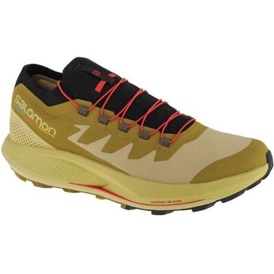 Salomon, Herren, Laufschuhe, Pulsar Trail-Pro 415936 48 (48), Grün Salomon, Herren, Laufschuhe, Pulsar Trail-Pro 415936 48 (48), Grün