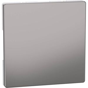 Merten Nickelmetallische Wandplatte - Schalterabdeckung Merten Nickelmetallische Wandplatte - Schalterabdeckung
