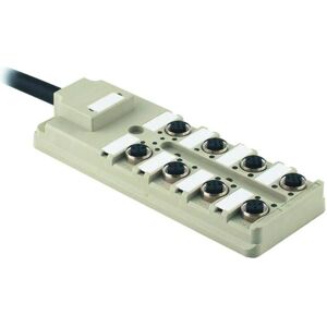 Weidmüller Sensor/Aktor-Passiv-Verteiler, Elektronikkabel + Stecker, Grau Weidmüller Sensor/Aktor-Passiv-Verteiler, Elektronikkabel + Stecker, Grau