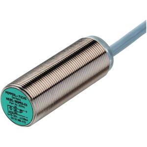 Pepperl & Fuchs PEPP induktiver Sensor (Sensor), Elektronikmodul Pepperl & Fuchs PEPP induktiver Sensor (Sensor), Elektronikmodul