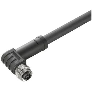 Weidmüller Sensor-Aktor-Leitung Einseitig offen M12 4 1 m SAIL-M12BW-S-10P - Kabel, Elektronikkabel + Stecker, Schwarz Weidmüller Sensor-Aktor-Leitung Einseitig offen M12 4 1 m SAIL-M12BW-S-10P - Kabel, Elektronikkabel + Stecker, Schwarz