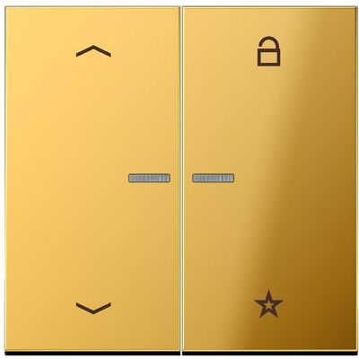 JUNG FMGO1701P, Schalter + Taster, Gold JUNG FMGO1701P, Schalter + Taster, Gold