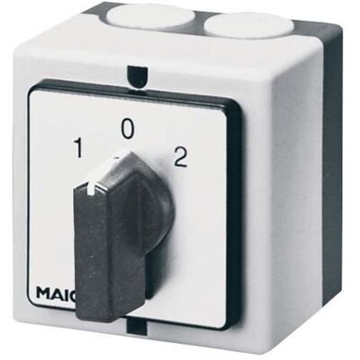 Maico MAI P 2 Polumschalter getrennte Wicklungen, Elektronikzubehör + Gehäuse Maico MAI P 2 Polumschalter getrennte Wicklungen, Elektronikzubehör + Gehäuse