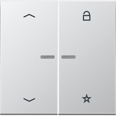 JUNG FMAL1701P, Schalter + Taster, Silber JUNG FMAL1701P, Schalter + Taster, Silber