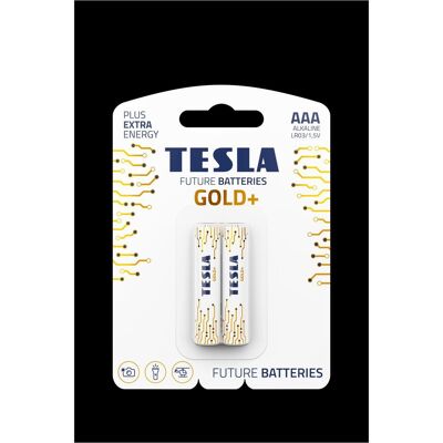 Tesla baterie AAA GOLD+, 2ks, LR03 (2 Stk., AAA, 1200 mAh), Batterien + Akkus Tesla baterie AAA GOLD+, 2ks, LR03 (2 Stk., AAA, 1200 mAh), Batterien + Akkus