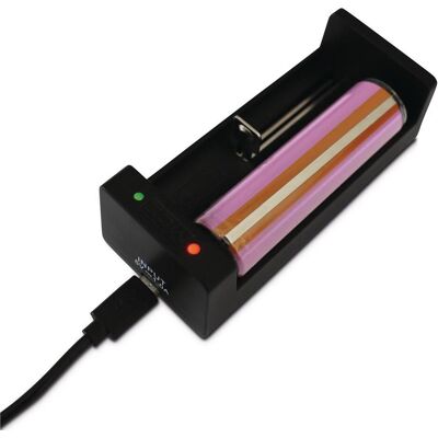 Xtar Ladegerät MC2 (1 Stk., Akku), Akku Ladegerät Xtar Ladegerät MC2 (1 Stk., Akku), Akku Ladegerät