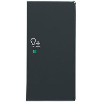 Busch-Jaeger, Zubehör Schalterprogramm, Busch-Jäger Wippe 2-fach rechts, mit Symbol "Dimmer" 6234-22-81 Busch-Jaeger, Zubehör Schalterprogramm, Busch-Jäger Wippe 2-fach rechts, mit Symbol "Dimmer" 6234-22-81