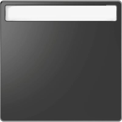 Merten, Zubehör Schalterprogramm, Wippe mit Schriftfeld, Anthrazit, System MEG3360-6034 Merten, Zubehör Schalterprogramm, Wippe mit Schriftfeld, Anthrazit, System MEG3360-6034