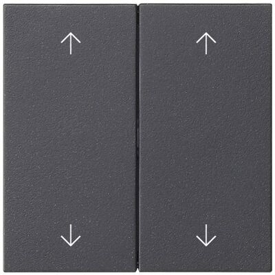 Gira Wippe 2f Pfeile System 55 Anthrazit 538728, Schalter + Taster, Grau Gira Wippe 2f Pfeile System 55 Anthrazit 538728, Schalter + Taster, Grau
