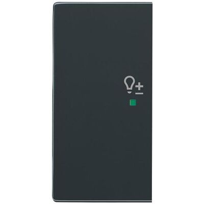 Busch-Jaeger, Zubehör Schalterprogramm, Busch-Jäger Wippe 2-fach links, mit Symbol "Dimmer" 6234-21-81 Busch-Jaeger, Zubehör Schalterprogramm, Busch-Jäger Wippe 2-fach links, mit Symbol "Dimmer" 6234-21-81