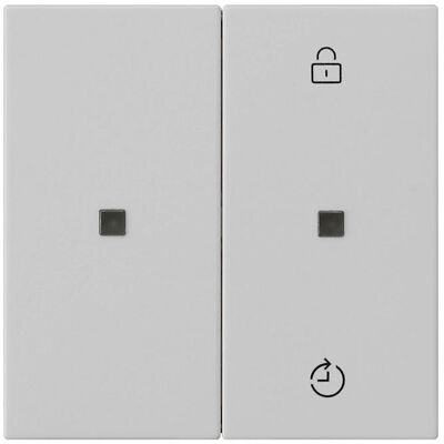 Gira 5493015, Schalter + Taster, Grau Gira 5493015, Schalter + Taster, Grau
