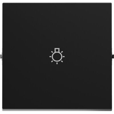 Legrand SEANO Wippe mit Lichtsymbol - Wechselschalter, Taster, Kreuzschalter - Schwarz Legrand SEANO Wippe mit Lichtsymbol - Wechselschalter, Taster, Kreuzschalter - Schwarz