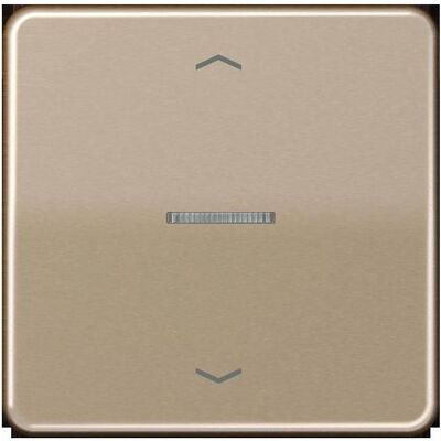 JUNG, Lichtschalter + Storenschalter, BTCD17101PGB HOME Taster 1fach JUNG, Lichtschalter + Storenschalter, BTCD17101PGB HOME Taster 1fach