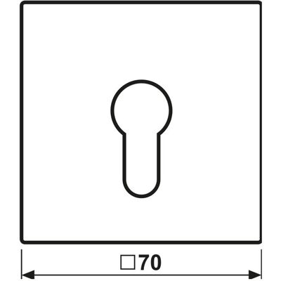 JUNG, Zubehör Schalterprogramm, Schlüssel/Abd Schalter LS anth mt AL2925AN JUNG, Zubehör Schalterprogramm, Schlüssel/Abd Schalter LS anth mt AL2925AN