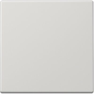 JUNG, Zubehör Schalterprogramm, Wippe Schalter LS lgr glz f.Bussystem LS101LG JUNG, Zubehör Schalterprogramm, Wippe Schalter LS lgr glz f.Bussystem LS101LG
