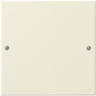 Gira 218101 - Wippenset 1fach - Cremeweiß - System 55 Gira 218101 - Wippenset 1fach - Cremeweiß - System 55