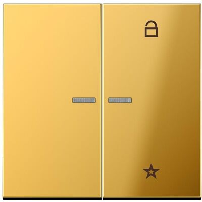 JUNG FMGO1701, Schalter + Taster, Gold JUNG FMGO1701, Schalter + Taster, Gold