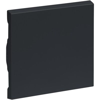 Legrand SEANO Wippe für Wechselschalter, Taster und Kreuzschalter, Schalter + Taster, Grau Legrand SEANO Wippe für Wechselschalter, Taster und Kreuzschalter, Schalter + Taster, Grau
