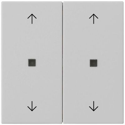 GIRA 5386015 - Wippe 2-fach Grau 5386015 GIRA 5386015 - Wippe 2-fach Grau 5386015