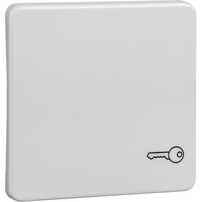 Schneider Electric Wippe mit Symbol Schlüssel 213124, Schalter + Taster, Weiss Schneider Electric Wippe mit Symbol Schlüssel 213124, Schalter + Taster, Weiss