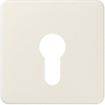 JUNG, Zubehör Schalterprogramm, Schlüssel/Abd Schalter CD ws glz 525 JUNG, Zubehör Schalterprogramm, Schlüssel/Abd Schalter CD ws glz 525
