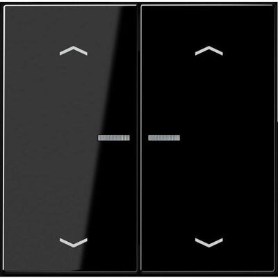 JUNG, Lichtschalter + Storenschalter, BTLS17102PSW HOME Taster 2fach JUNG, Lichtschalter + Storenschalter, BTLS17102PSW HOME Taster 2fach