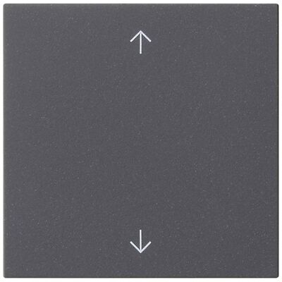 Gira Wippe 1f Pfeile System 55 Anthrazit 538928, Schalter + Taster, Grau Gira Wippe 1f Pfeile System 55 Anthrazit 538928, Schalter + Taster, Grau