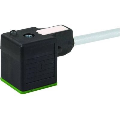 Murr Elektronik Ventilstecker Grau 7000-18021-2161500 Inhalt: 1 St., Elektronikkabel + Stecker, Grau Murr Elektronik Ventilstecker Grau 7000-18021-2161500 Inhalt: 1 St., Elektronikkabel + Stecker, Grau