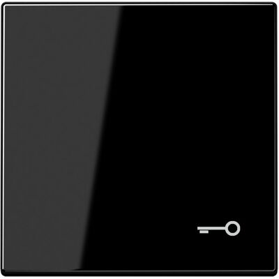 JUNG, Zubehör Schalterprogramm, Wippe Schalter LS sw glz Schl/Tür LS990TSW JUNG, Zubehör Schalterprogramm, Wippe Schalter LS sw glz Schl/Tür LS990TSW