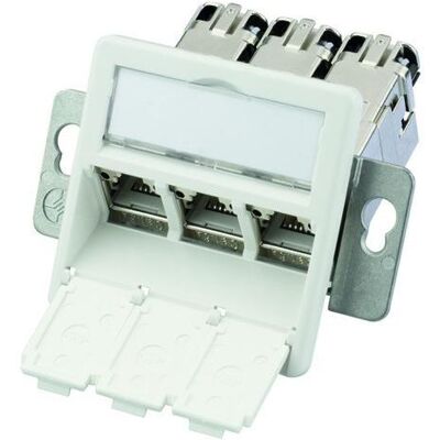 Telegärtner J00020A0513 - Modulaufnahme - Weiß - Kategorie 6A Telegärtner J00020A0513 - Modulaufnahme - Weiß - Kategorie 6A