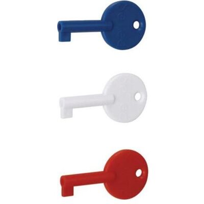 Hager - RXE02D - 3er Set - Schlüssel - Ersatzschlüssel Hager - RXE02D - 3er Set - Schlüssel - Ersatzschlüssel
